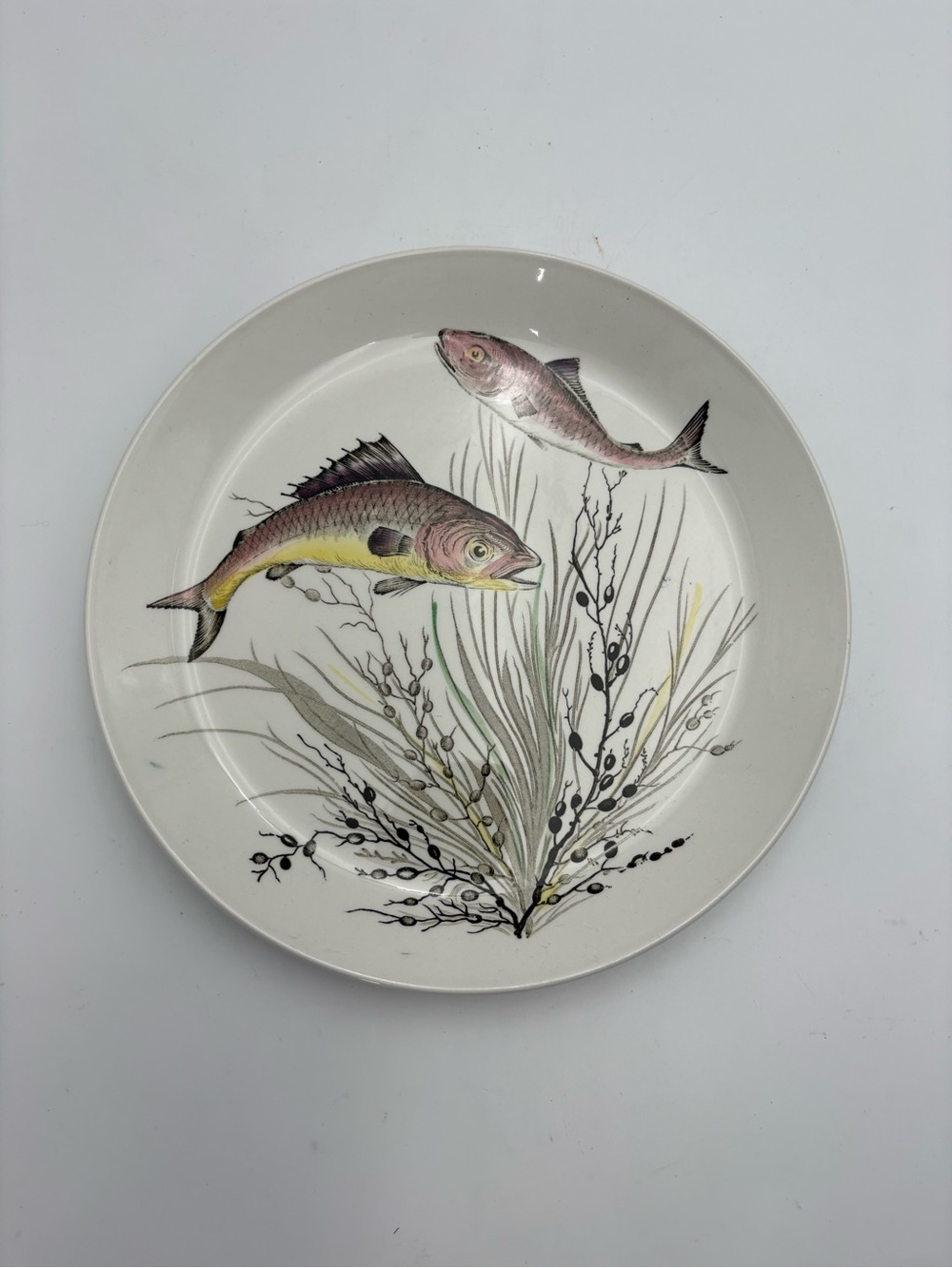 Vintage Johnson Bros. Fish Ceramic Plate Design No. 3 - Made in England - 10” - Picture 3 of 8